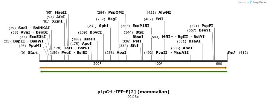 82274_map