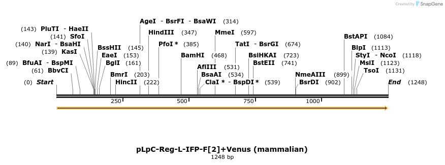 82275_map