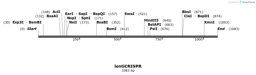 82283_map