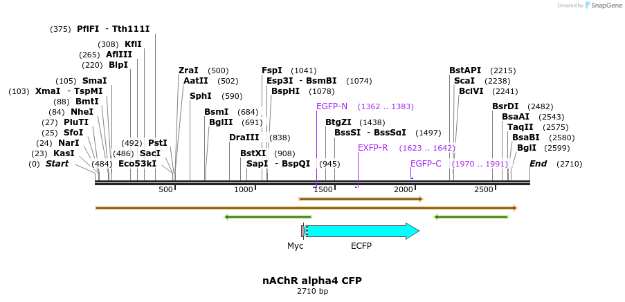 8229_map