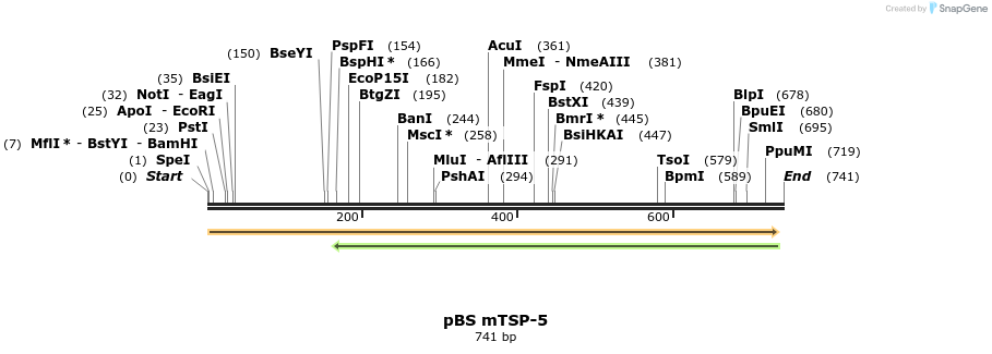82298_map