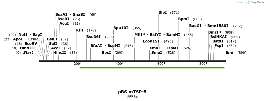 82299_map