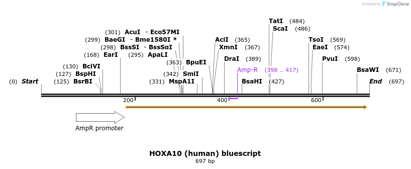 82301_map