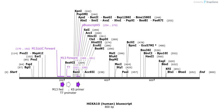 82302_map