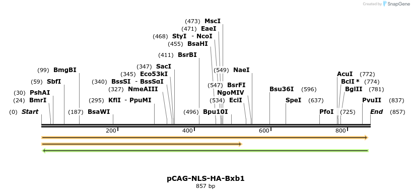 82306_map