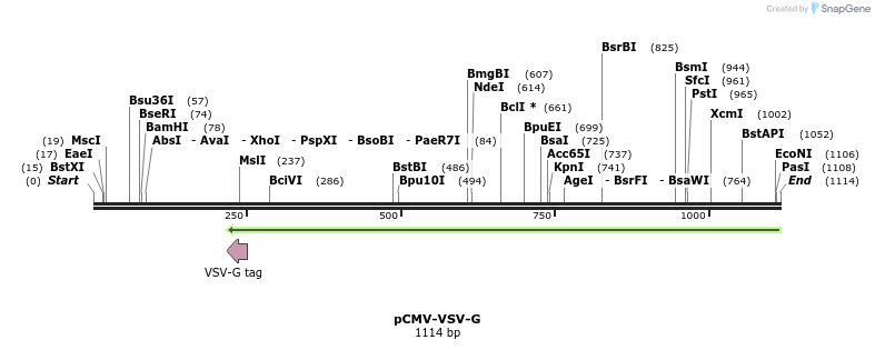 82313_map