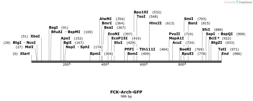 82316_map