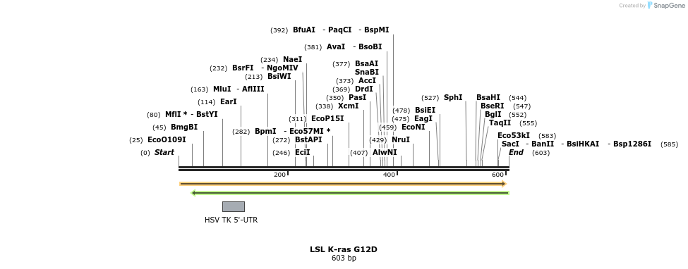 82321_map