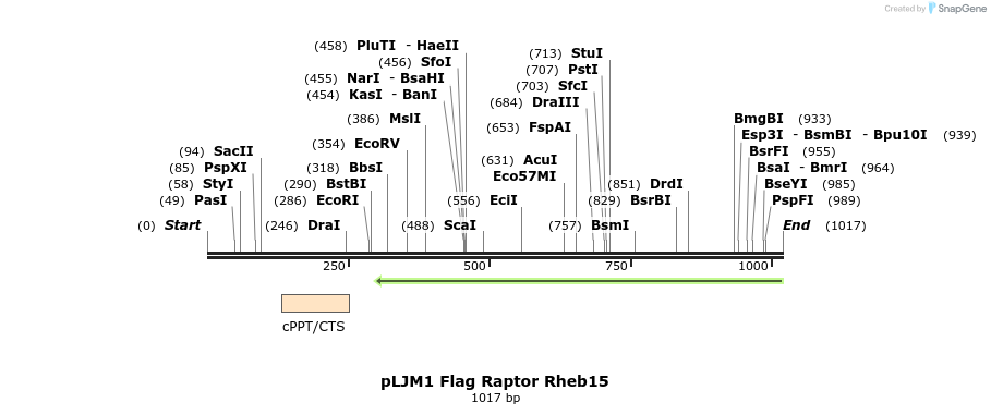 82326_map