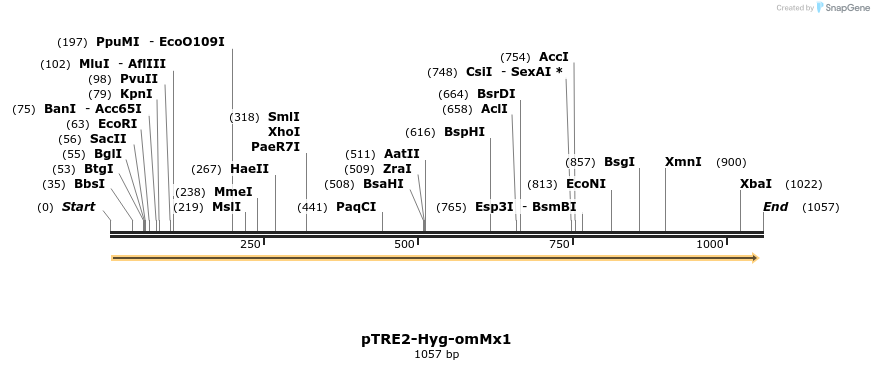82327_map