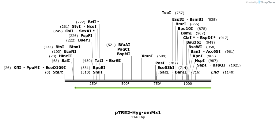82328_map
