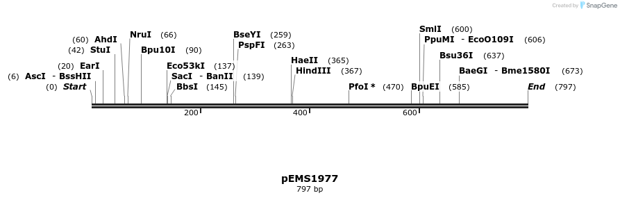 82338_map
