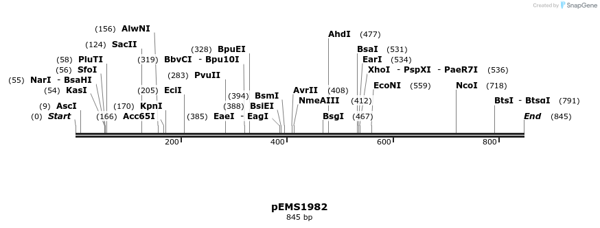 82339_map