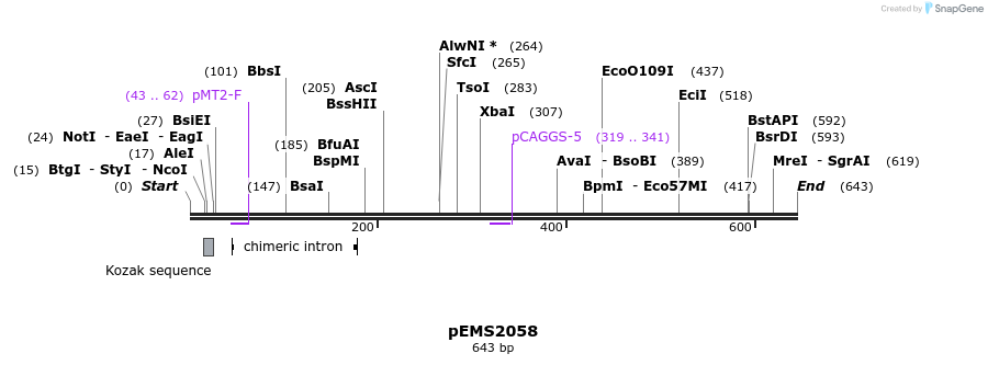 82341_map