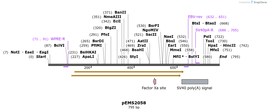 82342_map