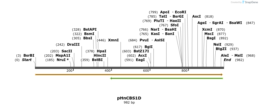 82347_map