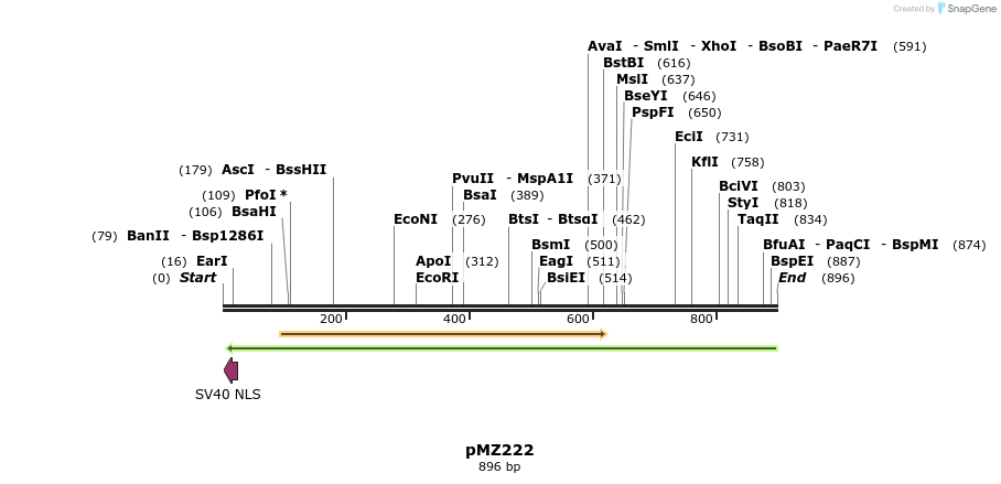 82348_map