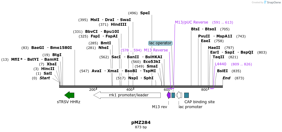 82350_map