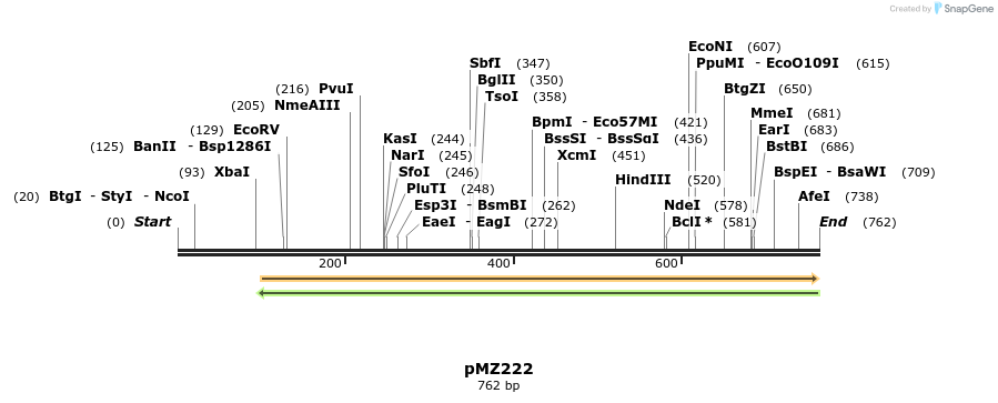 82353_map
