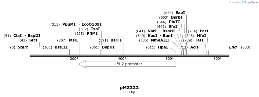 82363_map