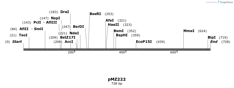 82368_map