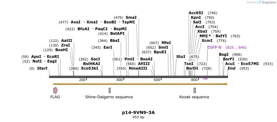 82376_map