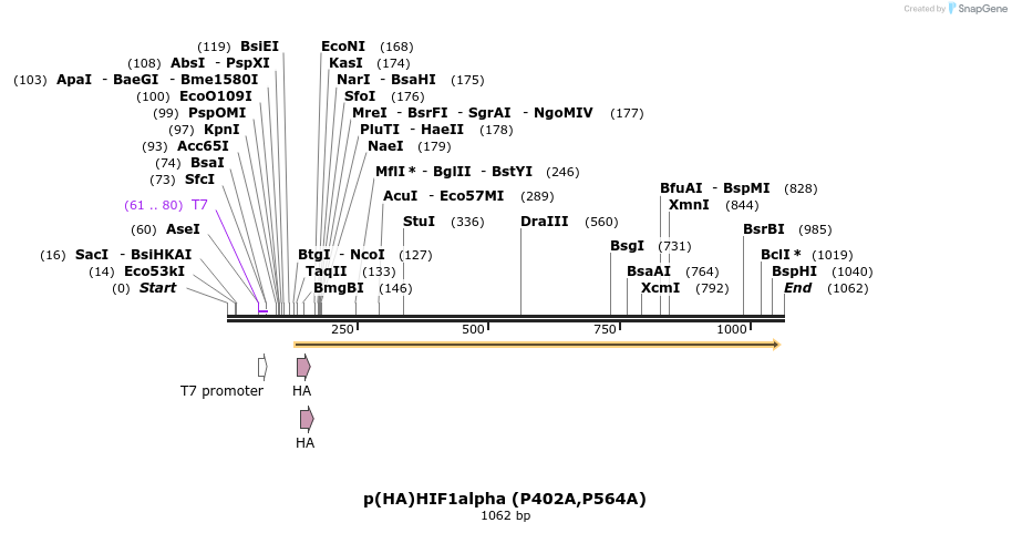 82397_map