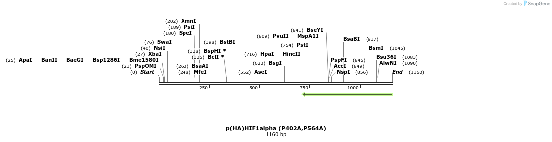 82398_map