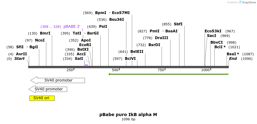 82402_map