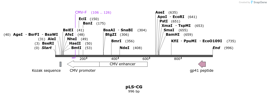 82406_map
