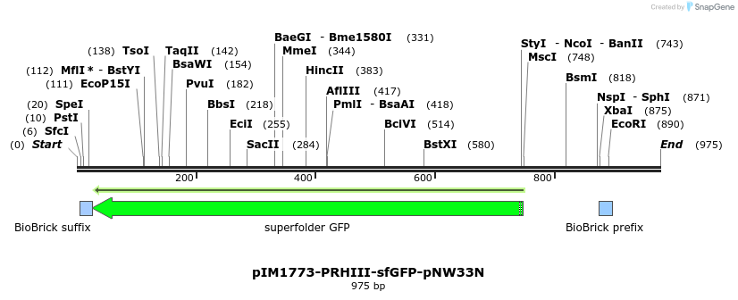 82407_map