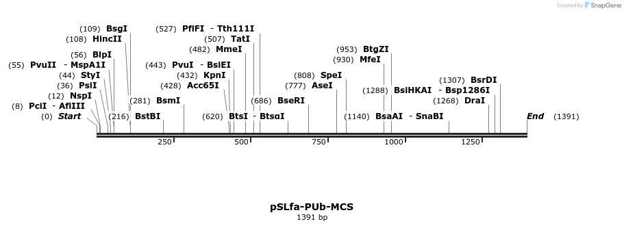 82421_map