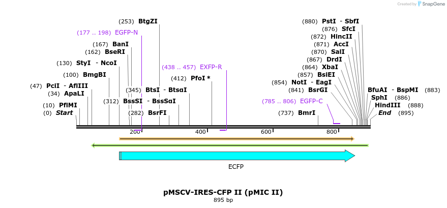 82429_map