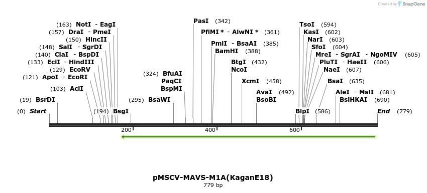 82433_map