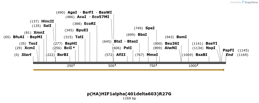 82436_map
