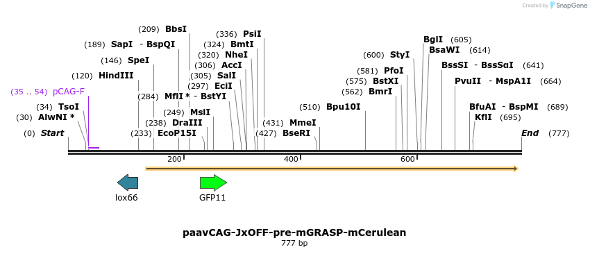 82437_map