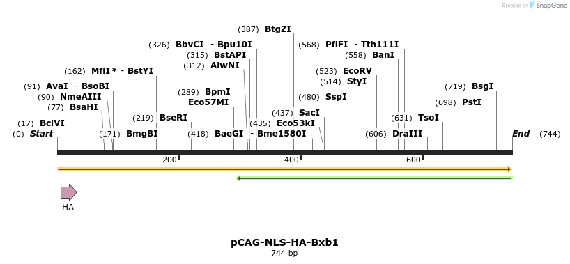 82440_map