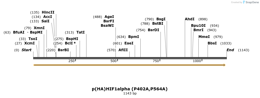 82441_map