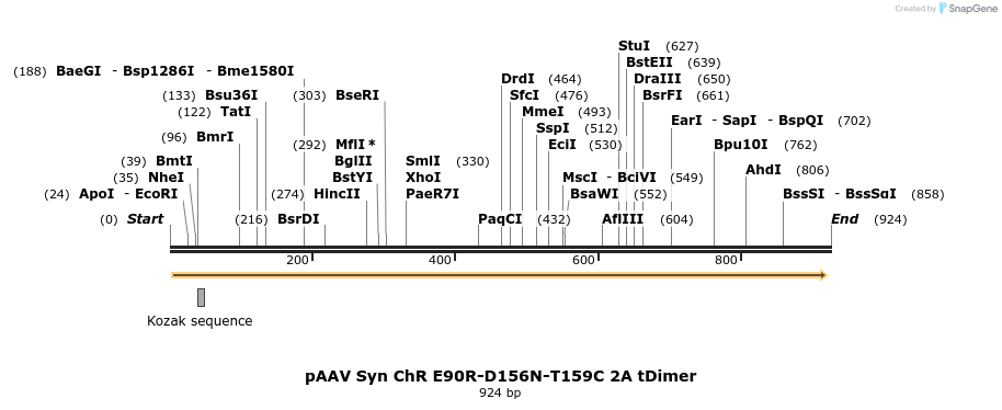 82442_map
