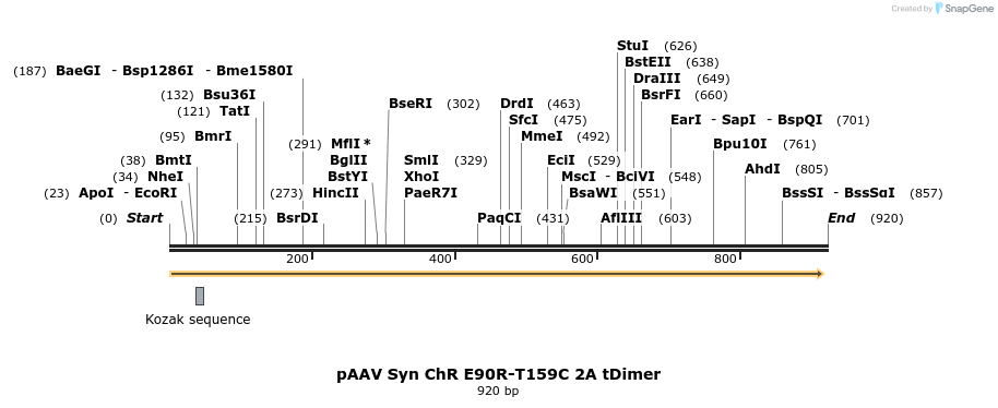 82445_map