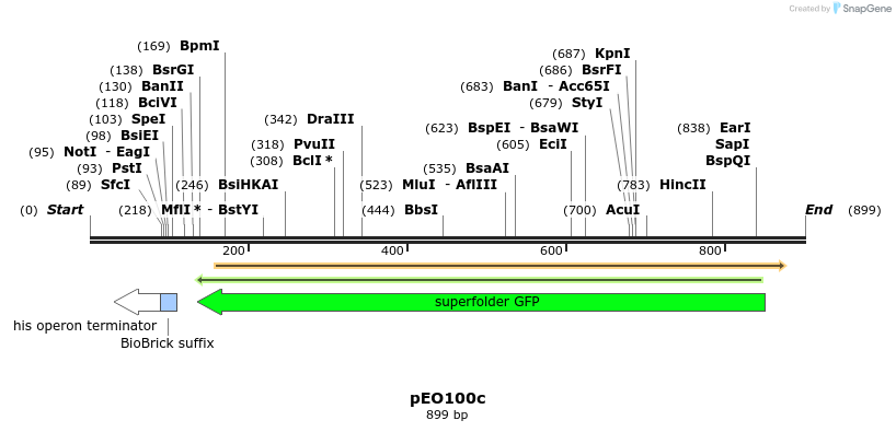 82446_map