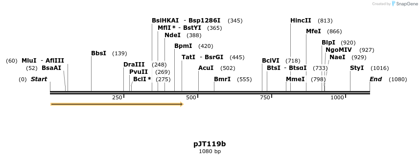 82449_map