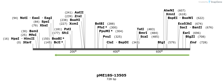 82451_map