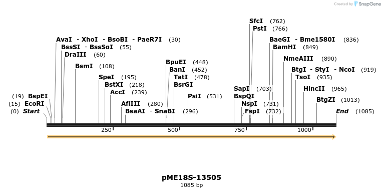 82452_map