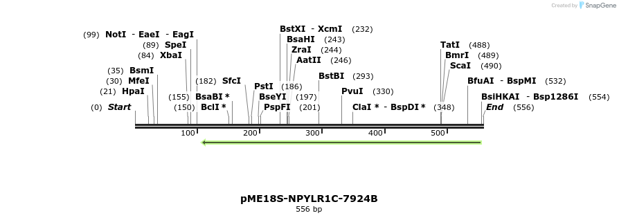 82453_map
