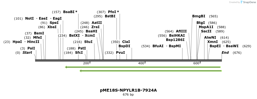 82463_map