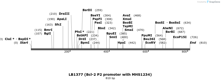 82465_map