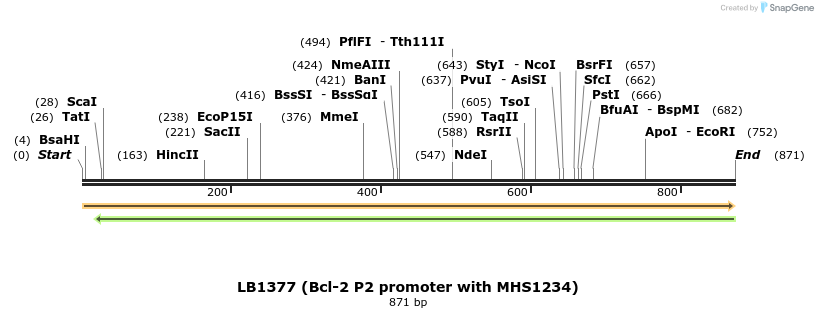 82466_map