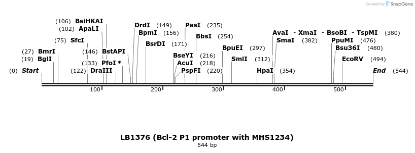 82467_map