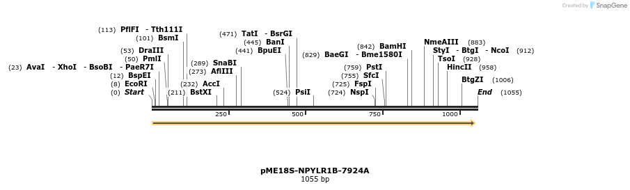 82468_map